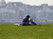 Friday Fotos: Grassiness