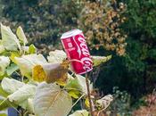 Gods Must Crazy Jersey City