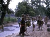 ROAD INDIA: Village Life, from Memoir Carolyn Arnold