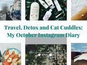 October Instagram Diary: Travel, Detox Cuddles