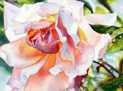 Marney Ward Watercolour Artist Glowing Flowers