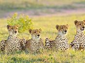 Nature Treasure Save Pleasure