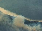 Amazon Wildfire Engulfs Brazilian Forest Threatens Tribes Video