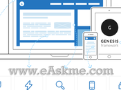 Best Premium WordPress Themes Club