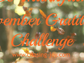 November Gratitude Challenge