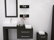 Best Masculine Vanities Modern Bathrooms
