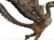 Know First Bird Earth.