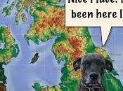 Menace, Well, Really New, Next Menace