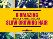 Amazing Oils That Help Treat Hair Loss Slow Growing