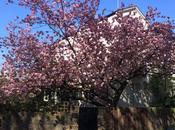 Another From 2015/16 London Walks Leaflet