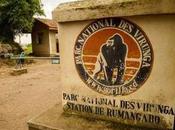 Confirmed Under Africa’s Oldest Wildlife Park Virunga: Govt