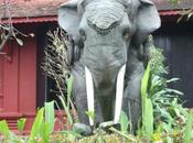 DAILY PHOTO: Elephant Sculpture National Museum Cambodia