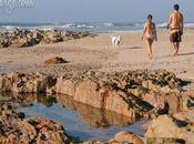 Beach Apúlia Ofir, Portugal: Preview