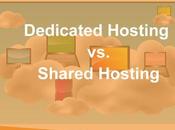 Should Know About Dedicated Hosting Shared