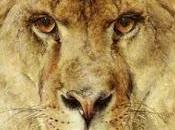 Review: Beasts Best Friends