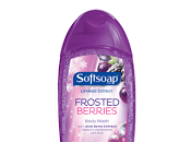 Welcome Winter with Softsoap’s Limited Edition Collection Body Washes