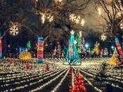 ZooLights Lincoln Park Zoo: Light Your Holiday Season