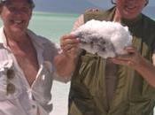 “It’s Djiboutiful!”(And Hottest Destination)