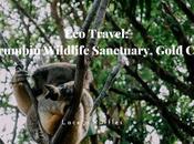 Travel: Currumbin Wildlife Sanctuary, Gold Coast