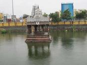 Incessant Rains Bring Water Thiruvallikkeni Kairavini Pushkarini 2015