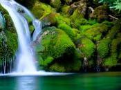 Green Planet Clean Discovery Eco-tourism Impacts