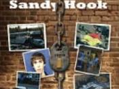 Amazon.com Bans “Nobody Died Sandy Hook” Other Hook Books