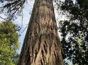 Trimmigrants- Adventure Marijuana Land