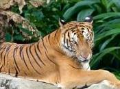 Berlin Zoolischer Garten Unforgettable Germany Experience