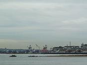 Friday Fotos: Nature Culture