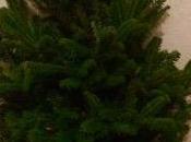First “real” Christmas Tree