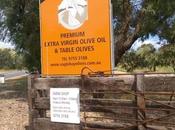 Journey Pullman Resort Part Eating Back Perth