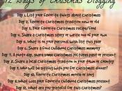 Days Christmas Blogging Challenge