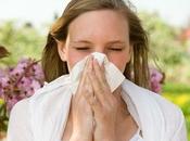 Best Homeopathic Remedies Allergies