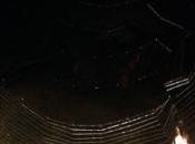 Finding Good Great Companies