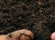 Weapon Against Climate Change Right Under Feet