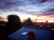 From Daily Constitutional Office Window East Finchley This Morning