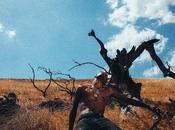 Music: Travis Scott Feat. Weeknd ‘wonderful’ ‘a-team’