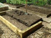 Raised Beds Further Musings....