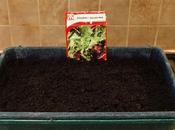 Satisfying Urge Something