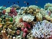 What Does Paris Agreement Mean World’s Other Million Species?