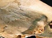 Gobekli Tepe Watchers Eden Andrew Collins Swiderian 'architects Civilisation'