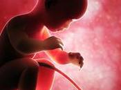 Bill Change Abortion Encounters Resistance