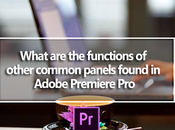What Functions Common Panels Found Adobe Premiere
