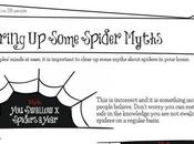 Everything Need Know About House Spiders