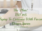 Plan. Trying Conceive With Frozen Donor Sperm