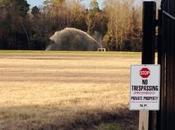 Groups Over North Carolina’s Law, Saying Violates Constitution