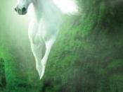 Book Review: Into Coraira (Legend Rhyme Series Vol. Jaime Mann