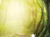 Book Review: Elora Stone (Legend Rhyme Series Vol. Jaime Mann