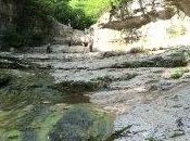 Reduce Your Capital Gains Taxes When Selling Stock