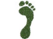 Understanding Ecological Footprint